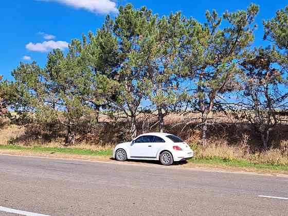 Volkswagen Beetle 2014 Рыбница