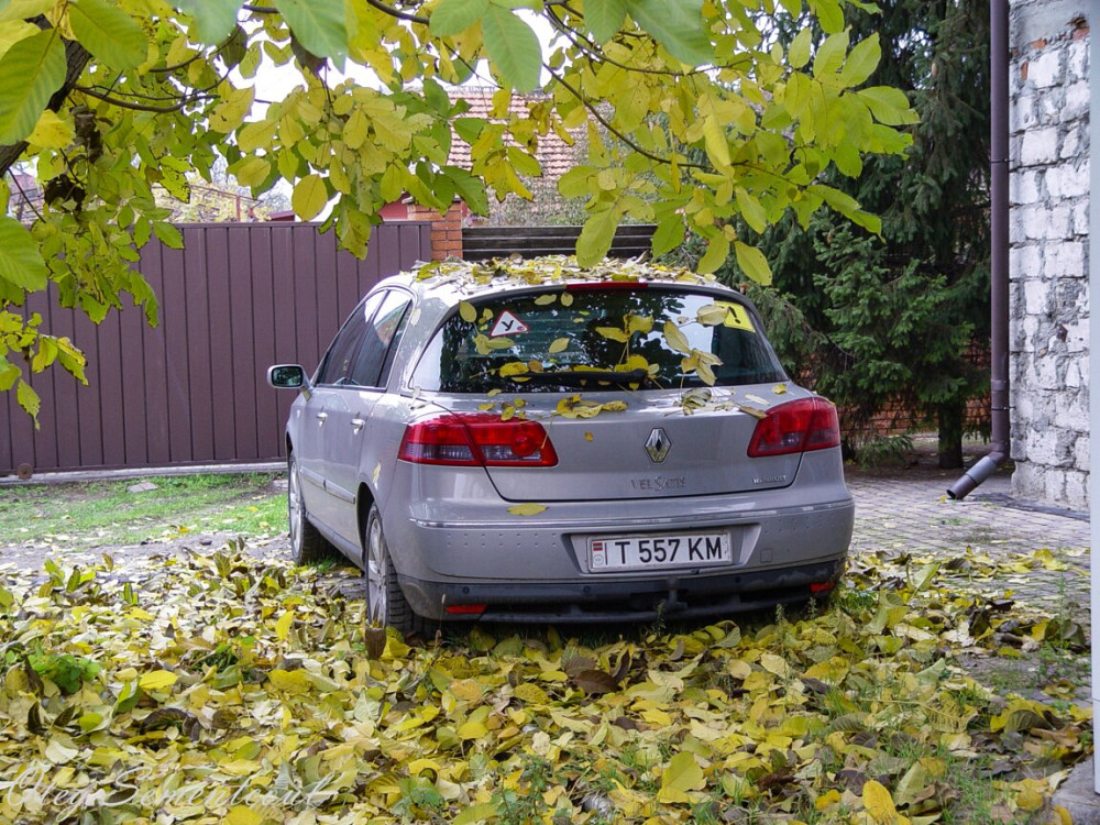 Renault Vel Satis 2003 год Тирасполь Тирасполь - изображение 4