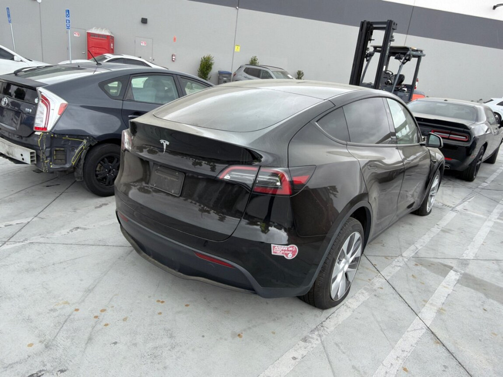 Tesla Model Y 2023 год Тирасполь Тирасполь - изображение 4