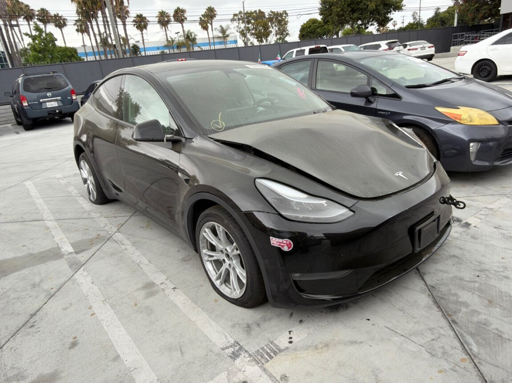Tesla Model Y 2023 год Тирасполь Тирасполь - изображение 1