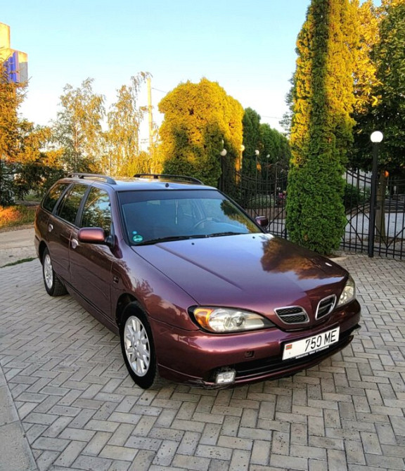 Nissan Primera 2001 год Суклея Суклея - изображение 1
