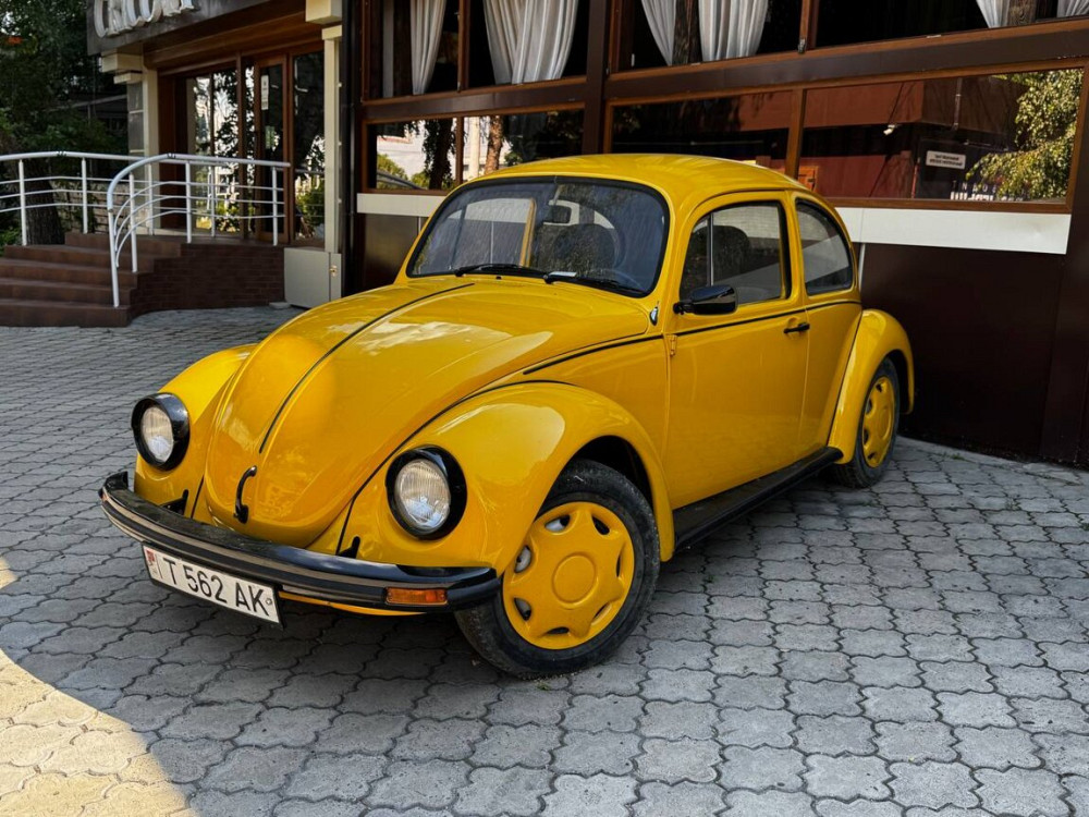 Volkswagen Beetle Тирасполь - изображение 2