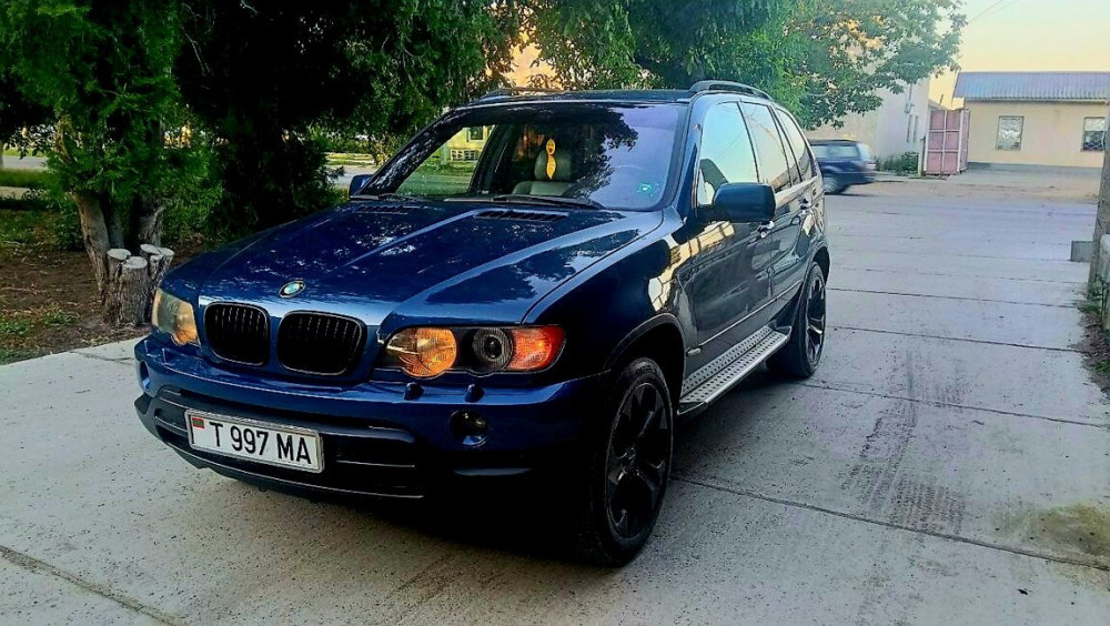 BMW X5 2003 год Суклея Суклея - изображение 4