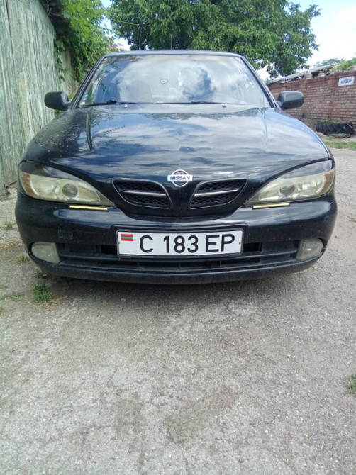 Nissan Primera 2000 год Тирасполь Тирасполь - изображение 2