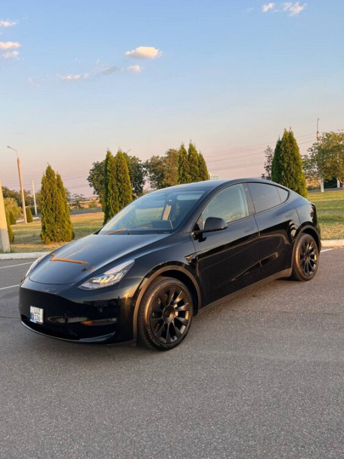 Tesla Model Y 2023 год Тирасполь Тирасполь - изображение 1