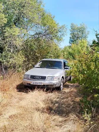Audi 100 1994 год Григориополь Григориополь
