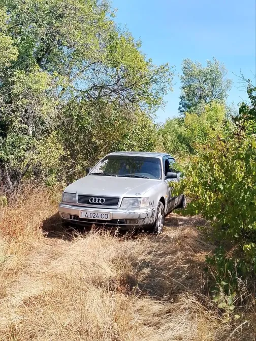 Audi 100 1994 год Григориополь Григориополь - изображение 6