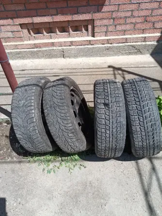 продажа Суклея