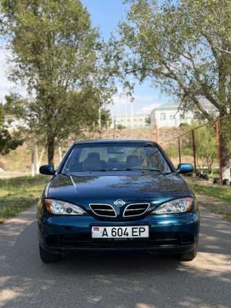 Nissan Primera 2000 год Григориополь Григориополь