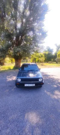 Volkswagen Golf 1987 год Слободзея Slobozia