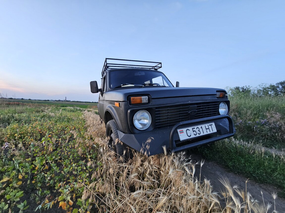 ВАЗ / Lada Niva 1981 год Тирасполь Тирасполь - изображение 3