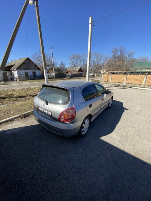 Nissan Almera 2003 год Дубоссары Дубоссары - изображение 3