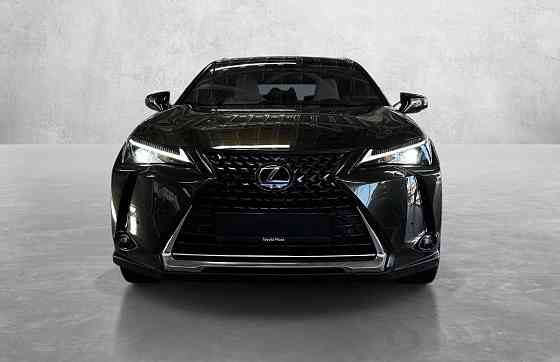 Lexus UX 300e Бельцы