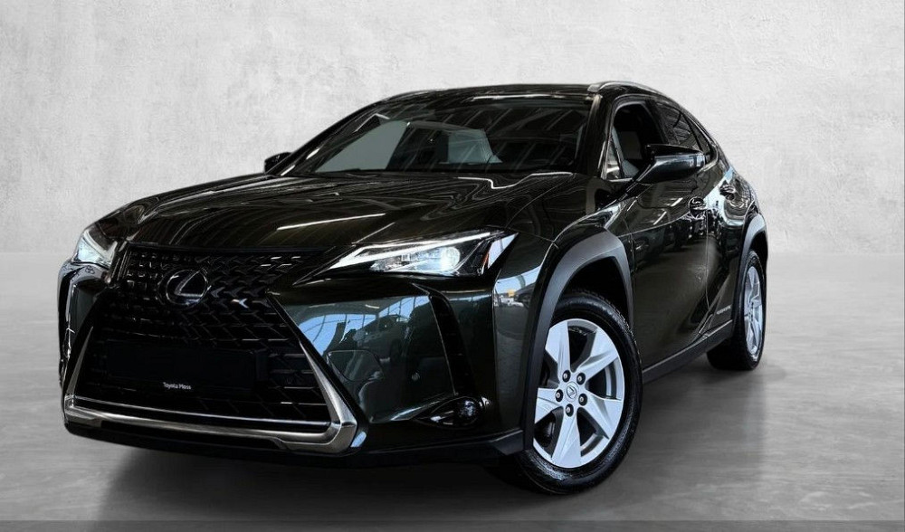 Lexus UX 300e Бельцы - изображение 1