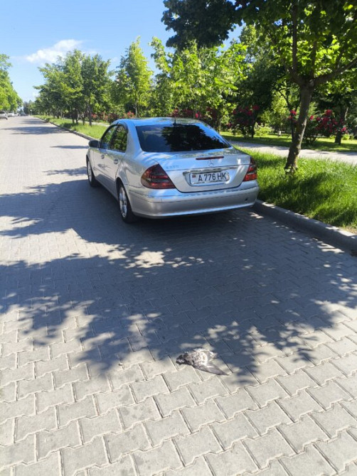 Mercedes E-Class 2003 an Bender Bender - fotografie 4