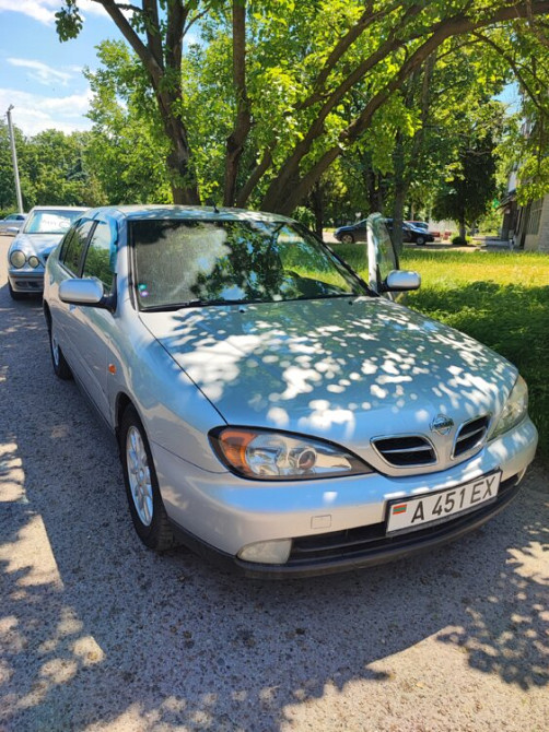 Nissan Primera 1999 год Бендеры Бендеры - изображение 1